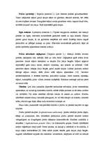 Diplomdarbs 'Meža dabiskā atjaunošanās sausieņu augšanas apstākļu tipā', 16.