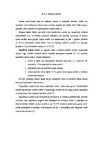 Diplomdarbs 'Meža dabiskā atjaunošanās sausieņu augšanas apstākļu tipā', 20.