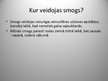 Prezentācija 'Smogs', 4.