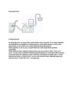 Konspekts 'Hidrauliskā triece', 1.