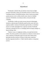 Referāts 'Privāttiesību raksturojums', 13.