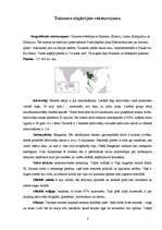 Referāts 'Taizemiešu kultūra', 4.