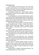 Referāts 'Izglītība caur sportu', 2.