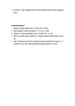 Referāts 'Izglītība caur sportu', 7.