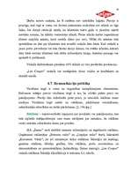 Referāts 'Mārketinga plāns veikalam "Lee Cooper"', 19.