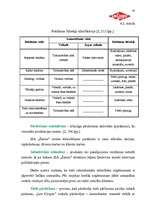 Referāts 'Mārketinga plāns veikalam "Lee Cooper"', 20.