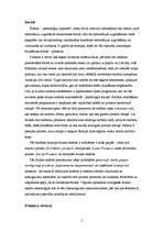 Referāts 'Printeri', 5.