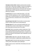 Referāts 'Printeri', 7.