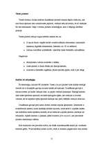 Referāts 'Printeri', 12.