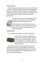 Referāts 'Printeri', 21.