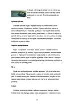 Referāts 'Printeri', 22.