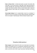 Referāts 'Raimonds Pauls - izcila personība', 24.