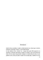 Referāts 'Raimonds Pauls - izcila personība', 26.