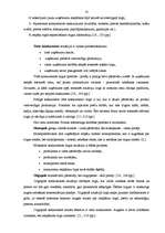 Referāts 'Konkurences faktora loma tirgzinībā', 12.