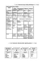 Referāts 'Konkurences faktora loma tirgzinībā', 16.