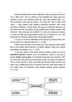 Referāts 'Konkurences faktora loma tirgzinībā', 17.