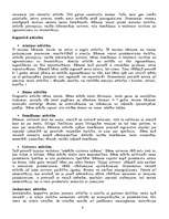 Referāts 'Cilvēka attīstība', 4.