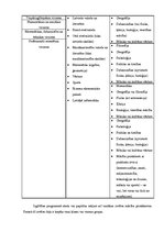 Referāts 'Izglītības iespējas Liepājā pēc 9.klases', 7.