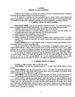 Referāts 'Inflācija un cenu stabilitāte', 7.