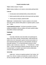 Konspekts 'Konspekts matemātikas stundai', 1.