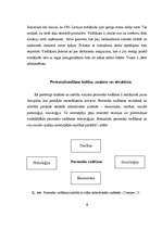 Referāts 'Vadīšanas problēmas', 6.