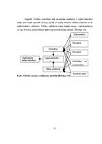 Referāts 'Vadīšanas problēmas', 8.