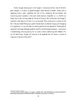 Referāts 'EU Development', 25.