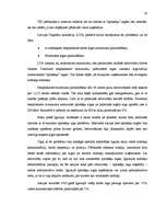 Referāts 'Iedzīvotāju ienākuma nodoklis', 19.