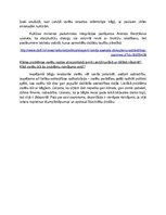 Konspekts 'Etnopolitika Latvijā', 4.