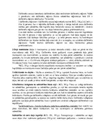 Konspekts 'Kapitālsabiedrības', 11.