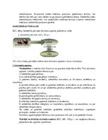 Konspekts 'Kapitālsabiedrības', 21.