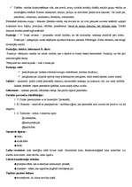 Konspekts 'Sižetoloģija. Naratoloģija', 2.