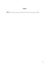 Referāts 'Uzņēmuma maksātnespēja un bankrots', 2.