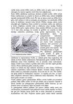 Referāts 'Kokmateriālu grīdas', 15.