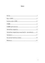 Referāts 'Latvija ANO. UNDP un sabiedrības integrācija – naturalizācijas process', 2.