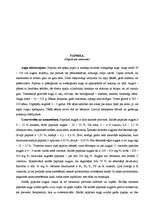 Referāts 'Garšaugu daudzveidība', 21.