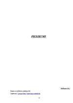 Referāts 'Nepilnīgā konkurence Latvijas tautsaimniecībā', 12.