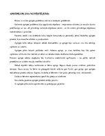 Prakses atskaite 'Aprūpes plāns neonatoloģijā', 15.