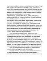 Konspekts 'Dzejoļa "Mūzika" strukturālā analīze', 4.