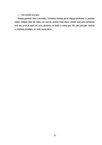 Referāts 'Latviešu tautas deja latviešu godos - kāzās', 14.