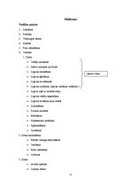 Referāts 'Latviešu tautas deja latviešu godos - kāzās', 17.