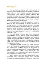 Referāts 'Satversmes reformas priekšlikumu politoloģisks novērtējums', 49.