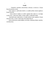 Referāts 'Darba un sociālās politikas tiesiskais regulējums Eiropas Savienībā', 3.