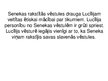 Prezentācija 'Epistolārais žanrs', 6.