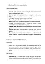 Referāts 'The Coca Cola Company darbība', 4.