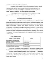 Prakses atskaite 'Ceļu būvniecība', 8.