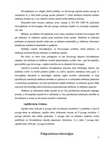 Prakses atskaite 'Ceļu būvniecība', 9.