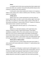 Prakses atskaite 'Ceļu būvniecība', 11.