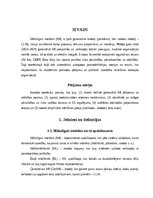 Referāts 'Ģeneratīvā mākslīgā intelekta (MI) ieviešana un ietekme uz produktivitāti un pār', 4.