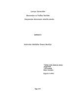 Referāts 'Iedzīvotāju labklājības līmenis Brazīlijā', 1.